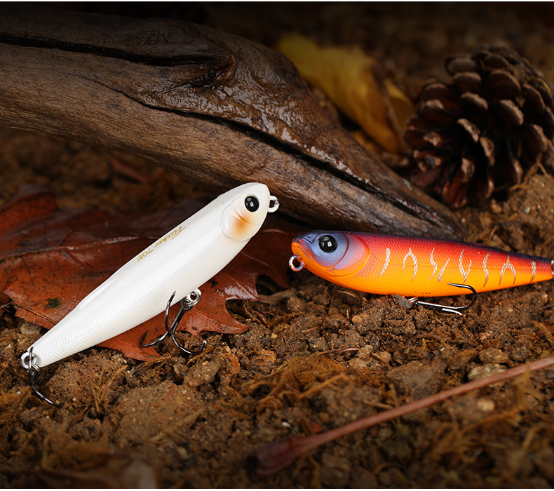 翨(翨含义)-九博国际